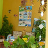 Отель Pousada Flor Dália, фото 30