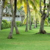 Отель Palm Village, фото 5