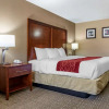 Отель Comfort Inn & Suites, фото 5