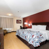 Отель Red Roof Inn PLUS+ Jacksonville - Southpoint, фото 14