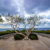 Отель Art Hotel Laguna Beach, фото 20