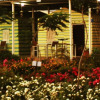 Отель Paradise Tent Resorts, фото 17