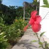 Отель Vieques Tropical Guest House во Вьекесе