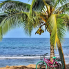 Отель Surf Break at Paunch, фото 16