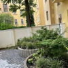 Отель Apartment U Muzea and Vaclavske Namesti, фото 1