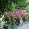 Отель La Casita con jardín frente a la cascada, фото 3