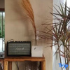 Отель Shengsi Havana Holiday Homestay, фото 7