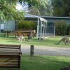 Отель Grampians View Cottages and Units, фото 16