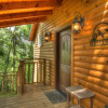 Отель Pine Cove Treehouses & Cabins, фото 17