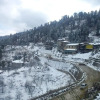 Отель Ashray Home Stay Kufri Himachal Pradesh, фото 13