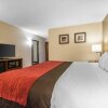 Отель Comfort Inn & Suites Denver, фото 2