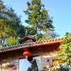 Отель Camellia Mountain Inn, фото 8