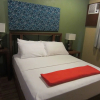 Отель The Purple Tree Bed & Breakfast, фото 27