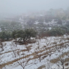 Отель קסם הכפר, фото 7