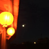 Отель Totally Habitat Homestay, фото 11