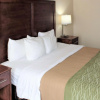 Отель Comfort Inn & Suites St. Louis - Chesterfield, фото 28