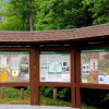 Отель Bear Foot Lodge 4 Bedrooms 4.5 Bathrooms Cabin, фото 15