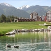 Отель Pirin Golf & Country Club Apartment Complex, фото 2