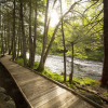 Отель Mersey River Chalets a nature retreat, фото 24