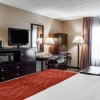 Отель Comfort Inn & Suites Watertown - 1000 Islands, фото 22