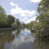 Отель Tarpon River Getaway, фото 15