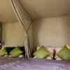 Отель Yolo Camping House - Hostel, фото 15