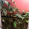 Отель Casa Tiradentes - Apto 2, фото 23