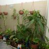 Отель Felice Homestay 02, фото 10