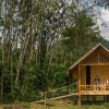 Отель Our Jungle Camp - Eco Resort, фото 35