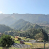 Отель Dinis Country Cottage by Our Madeira, фото 8