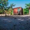 Отель Bonobo Lodge, фото 1