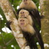 Отель Bosque del Cabo Rain Forest Lodge, фото 15