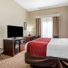 Отель Comfort Inn & Suites, фото 34