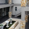 Отель Stone Olive Guest House, фото 15