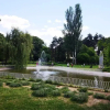 Отель FilinHome Pionirska Parkview Suite, фото 9
