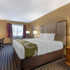 Отель Quality Inn & Suites Westminster Seal Beach, фото 26