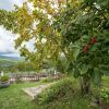 Отель Medieval Farmhouse in Caprese Michelangelo With Terrace, фото 26