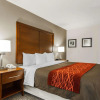 Отель Comfort Inn Denver East, фото 33
