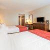 Отель Ambassadeur Hotel, фото 5