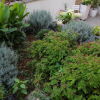 Отель Angel - Nice Garden - A1, фото 17