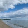 Отель Flynns of Termonfeckin, фото 14