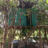 Отель Mida Creek Nature Camp, фото 22