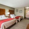 Отель Comfort Inn & Suites At Dollywood Lane, фото 7