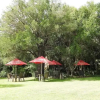 Отель Tamboti Bush Lodge, фото 20