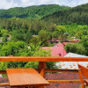 Отель Casa de Vacanta Neagu, фото 6