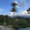 Отель Nana's Homestay, фото 24