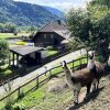 Отель House Lama Niederwölz в Пустервальде