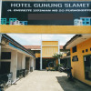 Отель Gunung Slamet, фото 9