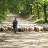 Отель Jelly's Hoeve 1 en 2, фото 16