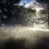 Отель Forest Holidays Keldy, фото 40